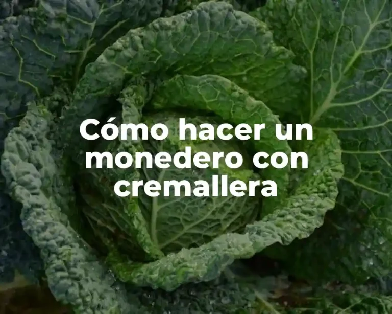 Cómo hacer un monedero con cremallera