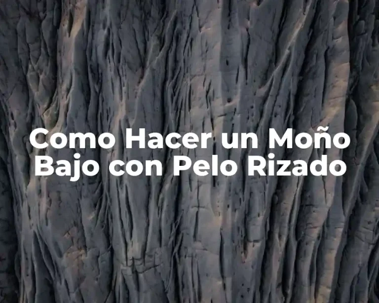 Como Hacer un Moño Bajo con Pelo Rizado