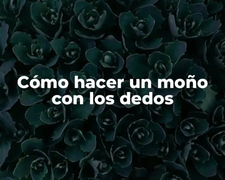 Cómo hacer un moño con los dedos