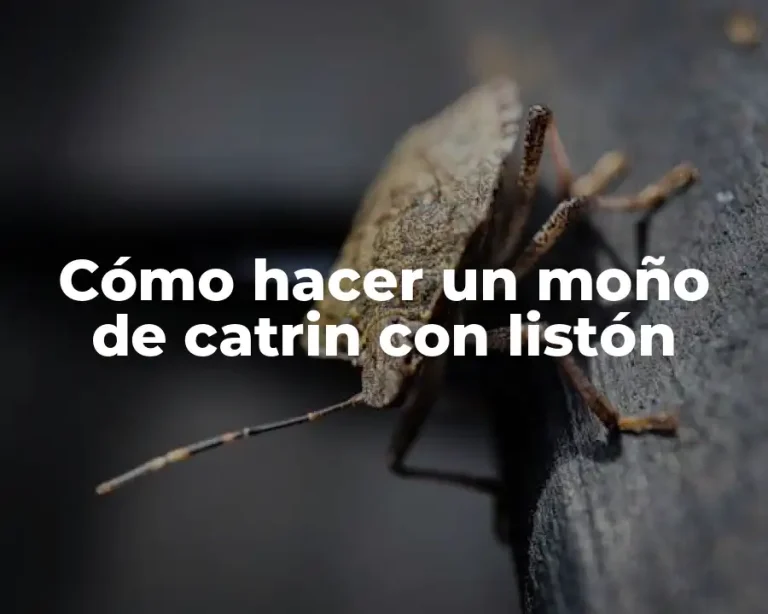 Cómo hacer un moño de catrin con listón