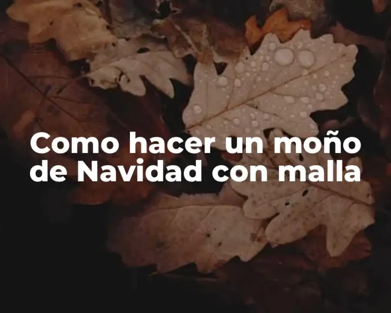 Como hacer un moño de Navidad con malla