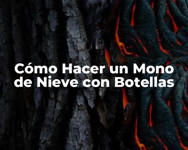 Cómo Hacer un Mono de Nieve con Botellas