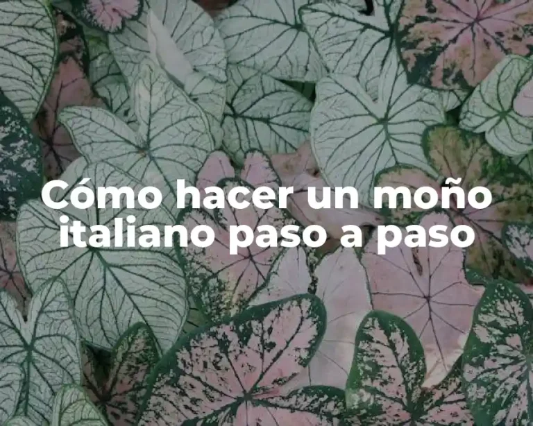 Cómo hacer un moño italiano paso a paso