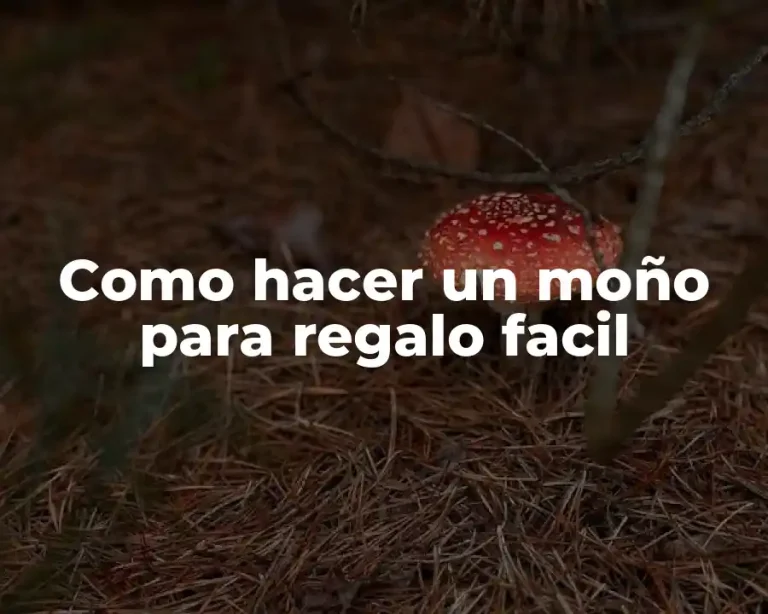 Como hacer un moño para regalo facil