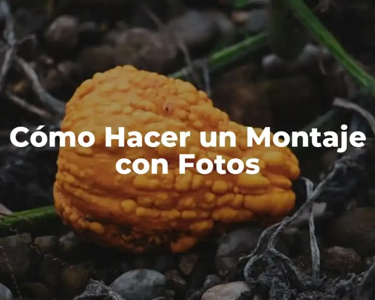 Cómo Hacer un Montaje con Fotos