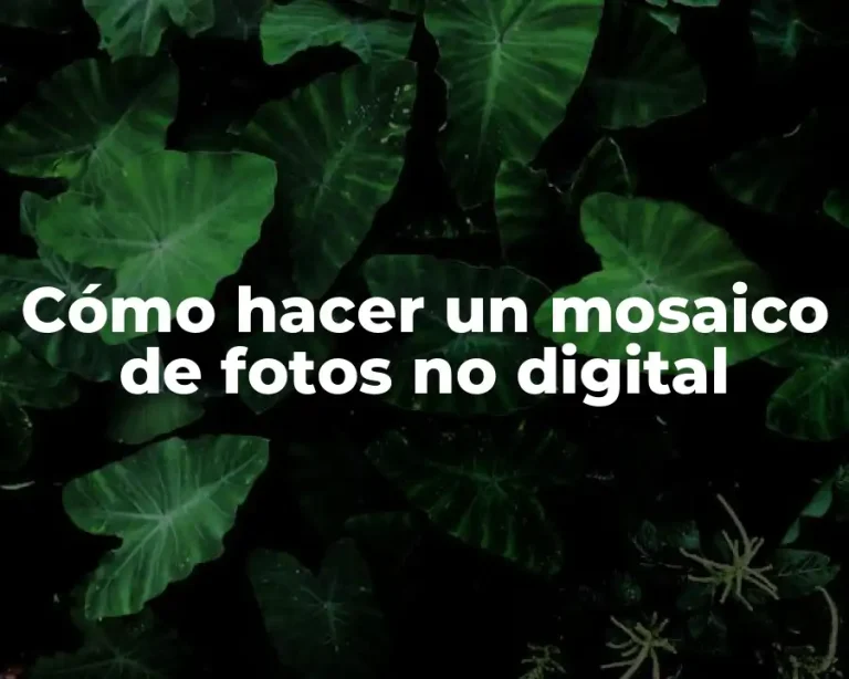 Cómo hacer un mosaico de fotos no digital