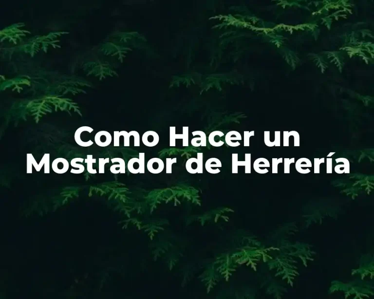 Como Hacer un Mostrador de Herrería
