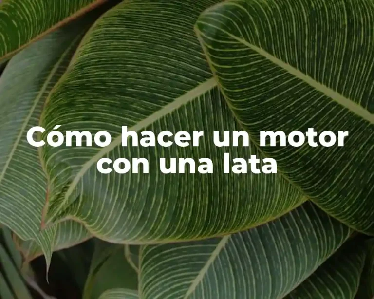 Cómo hacer un motor con una lata