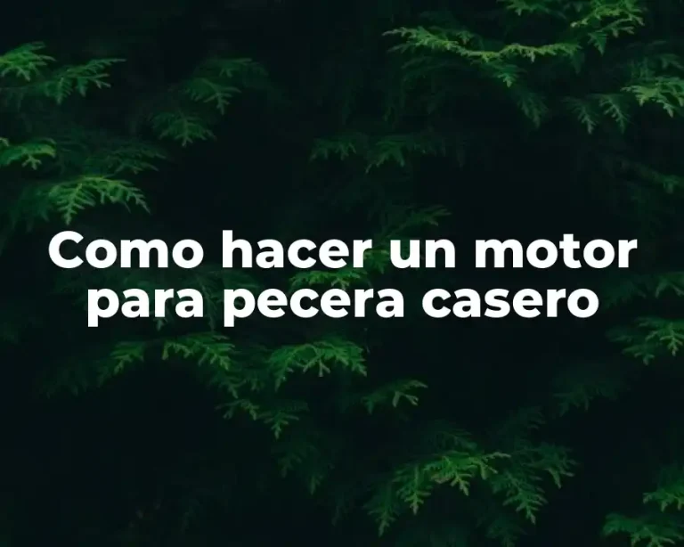 Como hacer un motor para pecera casero