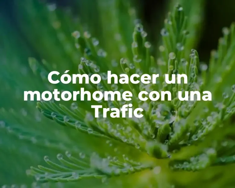 Cómo hacer un motorhome con una Trafic