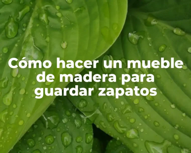 Cómo hacer un mueble de madera para guardar zapatos