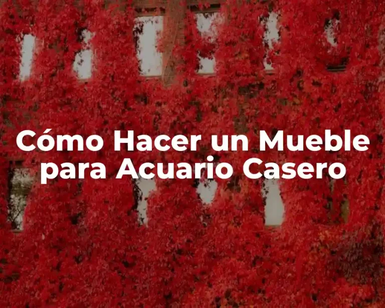 Cómo Hacer un Mueble para Acuario Casero