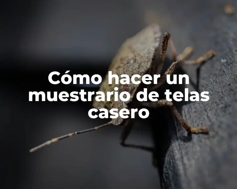Cómo hacer un muestrario de telas casero