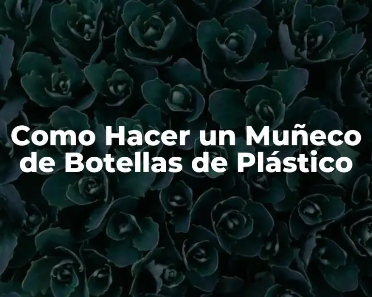 Como Hacer un Muñeco de Botellas de Plástico