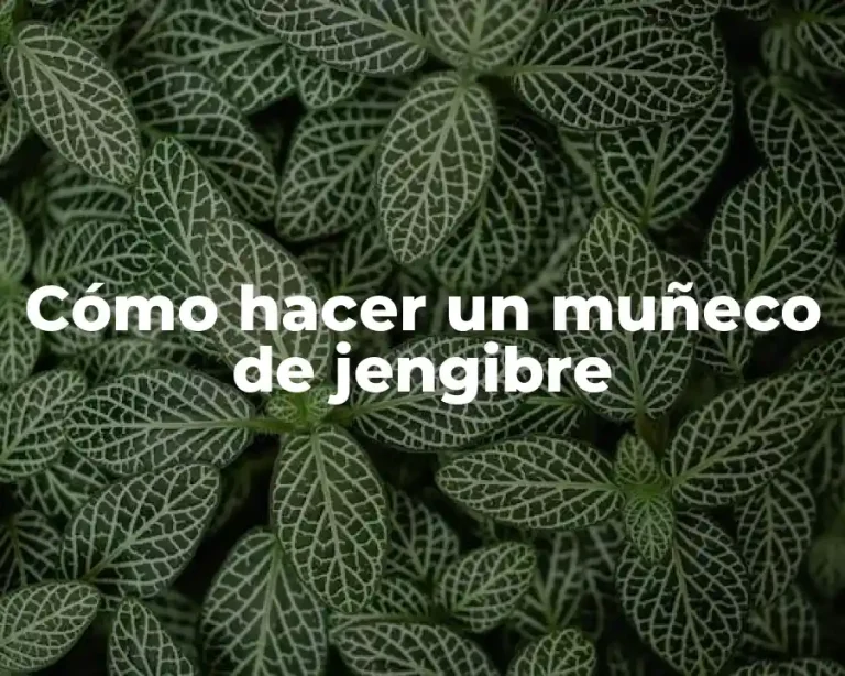 Cómo hacer un muñeco de jengibre