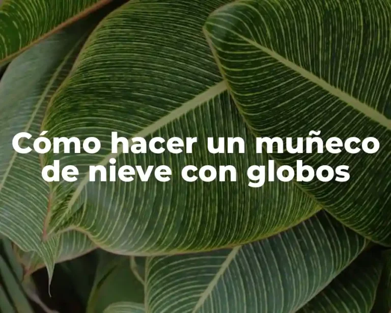Cómo hacer un muñeco de nieve con globos