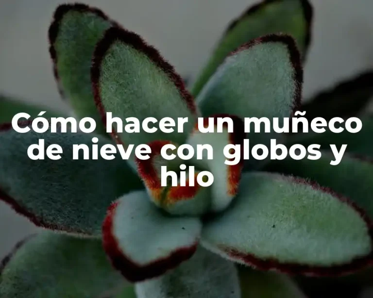 Cómo hacer un muñeco de nieve con globos y hilo