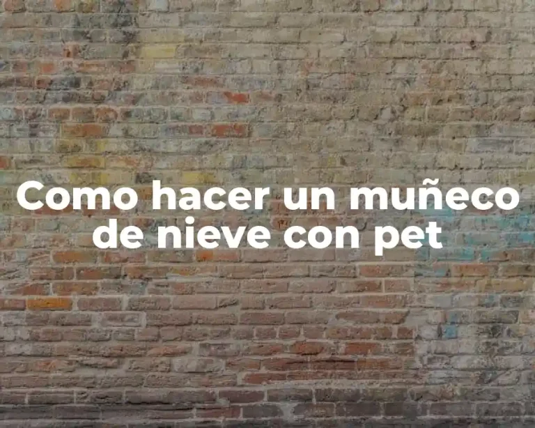 Como hacer un muñeco de nieve con pet