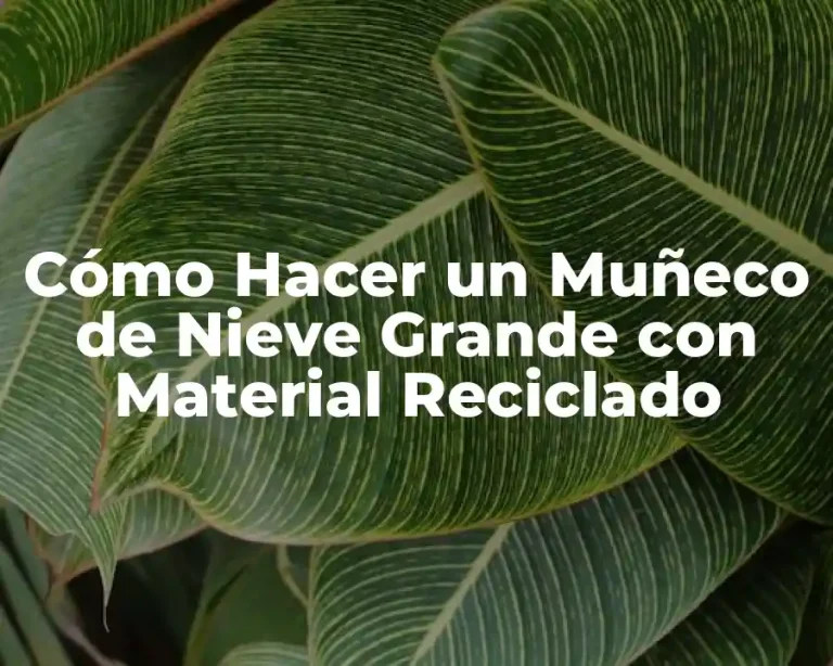 Cómo Hacer un Muñeco de Nieve Grande con Material Reciclado