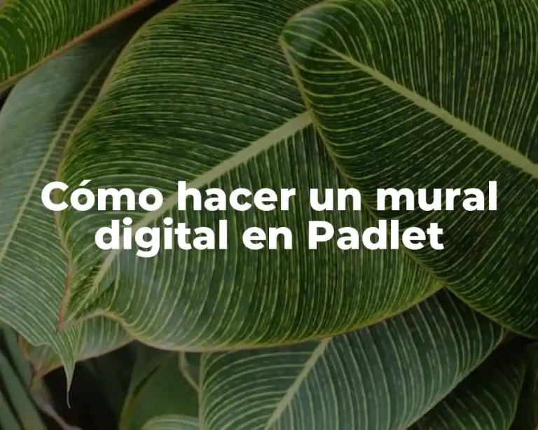 Cómo hacer un mural digital en Padlet