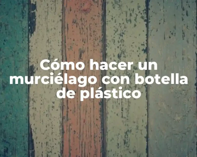 Cómo hacer un murciélago con botella de plástico