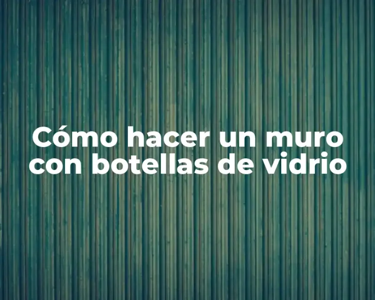 Cómo hacer un muro con botellas de vidrio