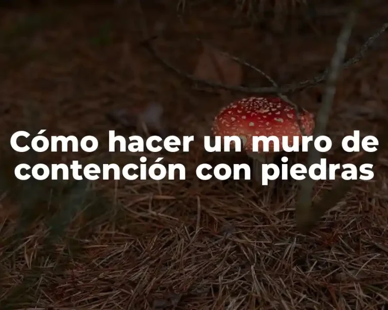 Cómo hacer un muro de contención con piedras