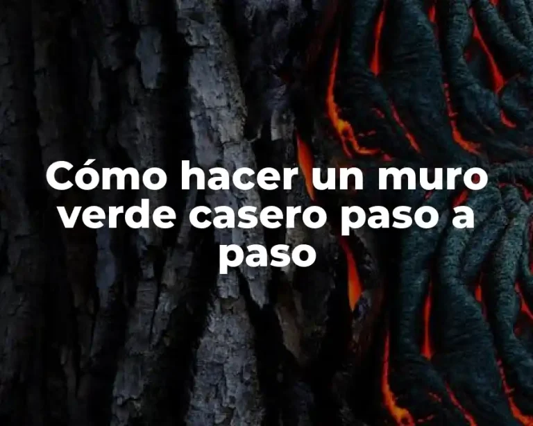 Cómo hacer un muro verde casero paso a paso