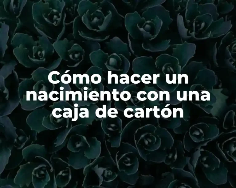 Cómo hacer un nacimiento con una caja de cartón