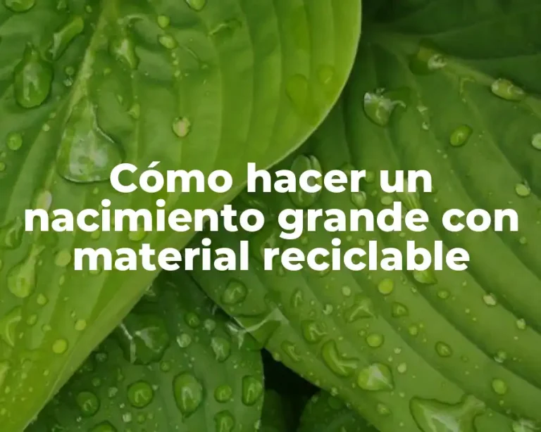 Cómo hacer un nacimiento grande con material reciclable