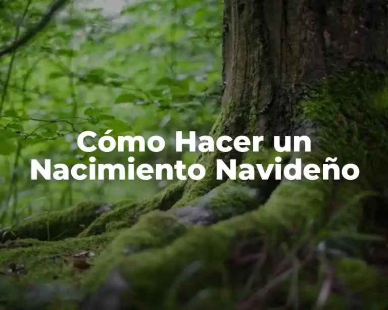 Cómo Hacer un Nacimiento Navideño