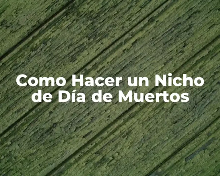 Como Hacer un Nicho de Día de Muertos