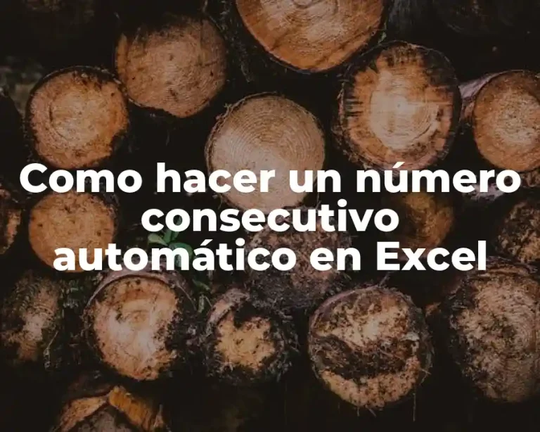 Como hacer un número consecutivo automático en Excel