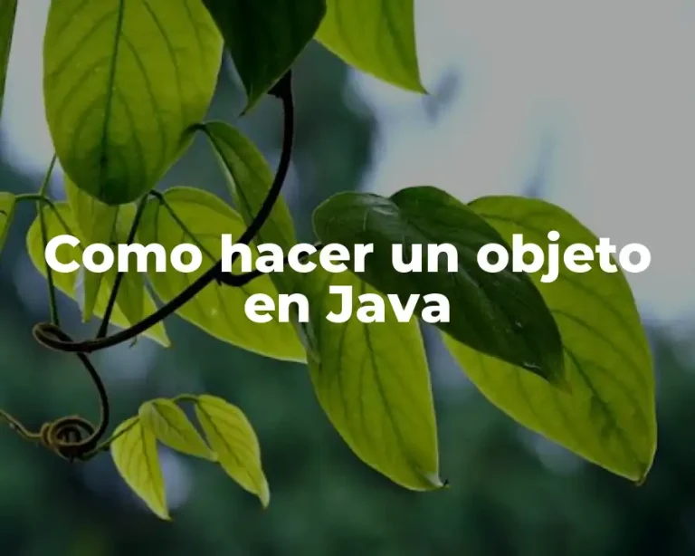 Como hacer un objeto en Java