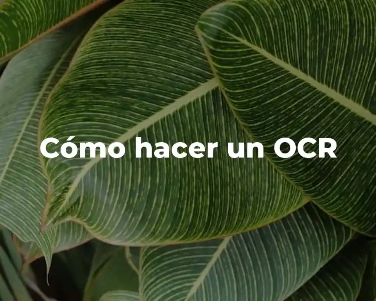 Cómo hacer un OCR