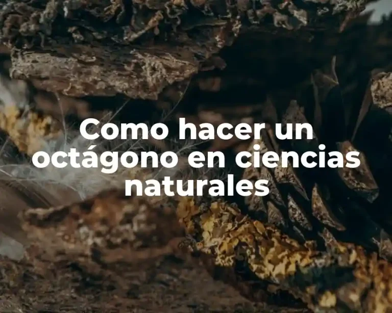 Como hacer un octágono en ciencias naturales