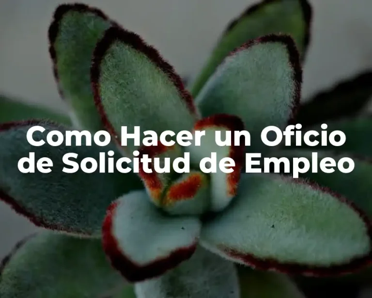 Como Hacer un Oficio de Solicitud de Empleo
