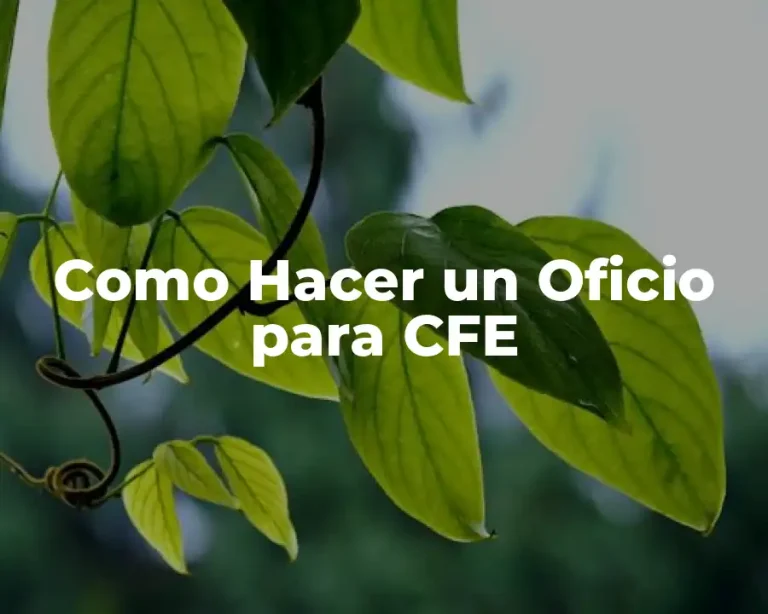 Como Hacer un Oficio para CFE