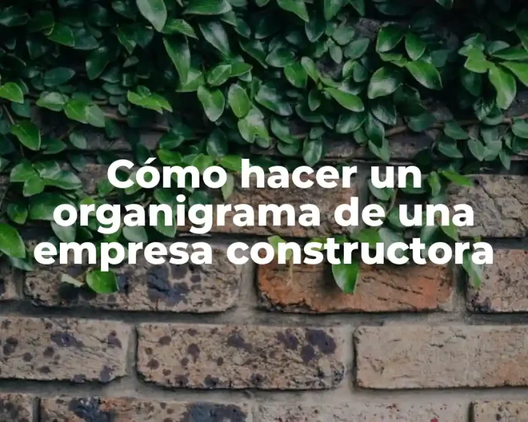 Cómo hacer un organigrama de una empresa constructora