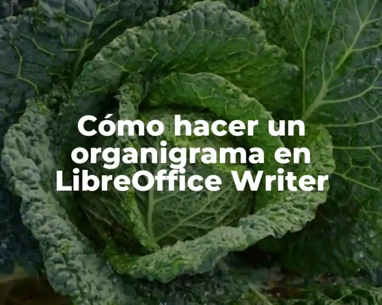 Cómo hacer un organigrama en LibreOffice Writer