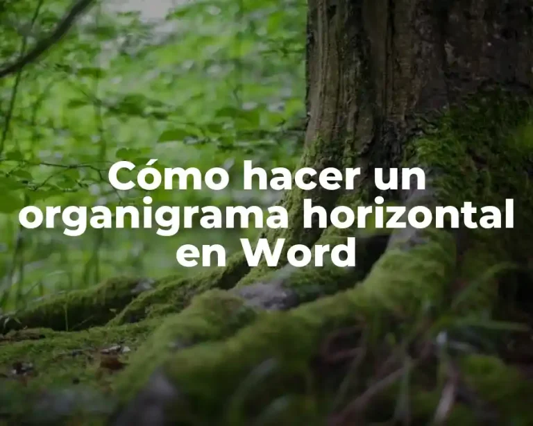 Cómo hacer un organigrama horizontal en Word