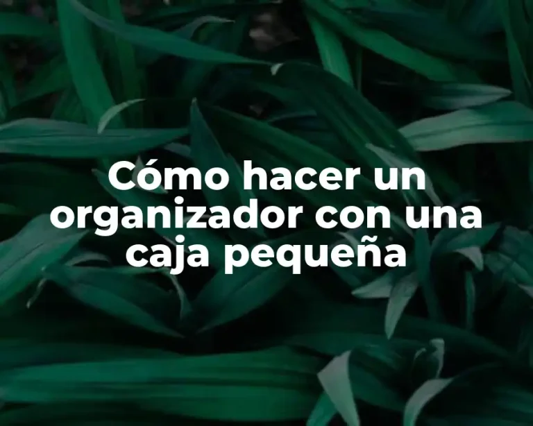 Cómo hacer un organizador con una caja pequeña