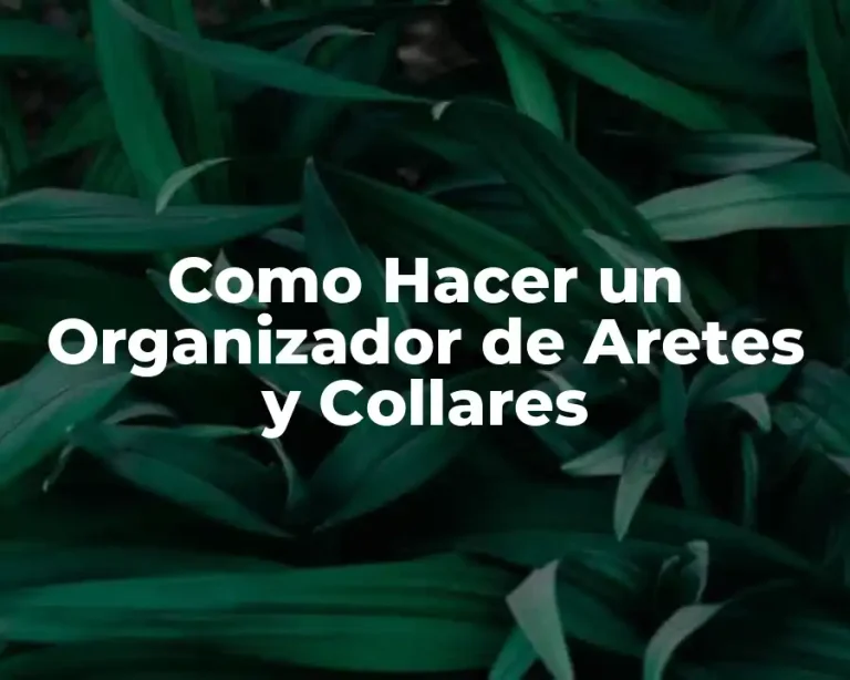 Como Hacer un Organizador de Aretes y Collares