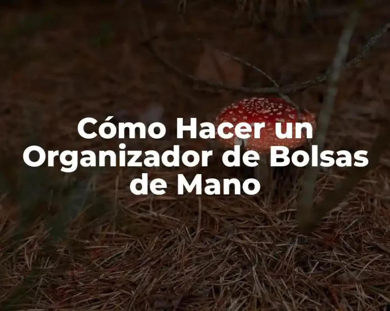 Cómo Hacer un Organizador de Bolsas de Mano