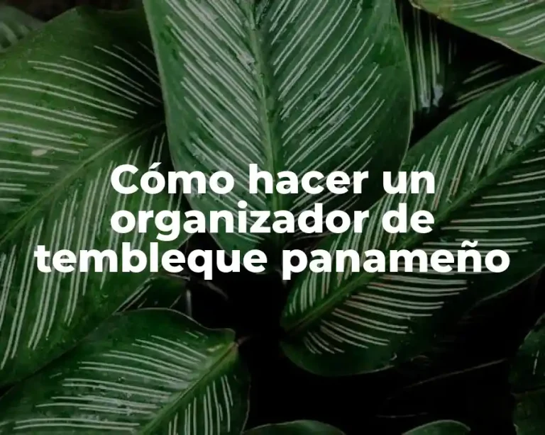 Cómo hacer un organizador de tembleque panameño