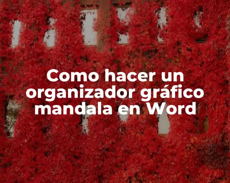 Como hacer un organizador gráfico mandala en Word