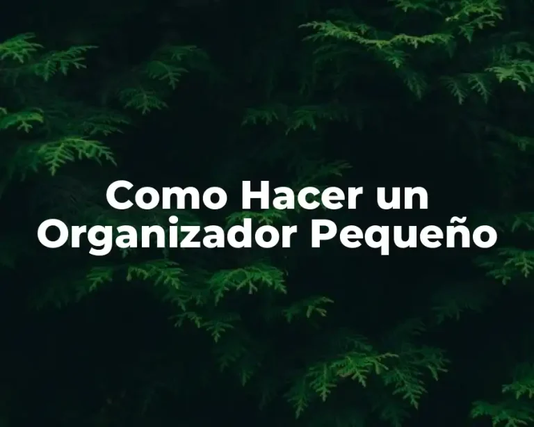 Como Hacer un Organizador Pequeño