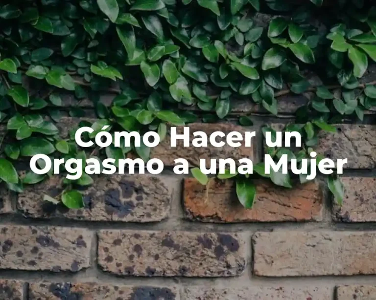 Cómo Hacer un Orgasmo a una Mujer