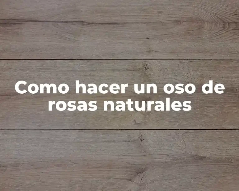 Como hacer un oso de rosas naturales