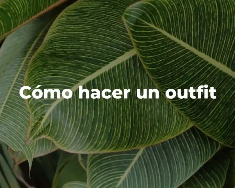 Cómo hacer un outfit